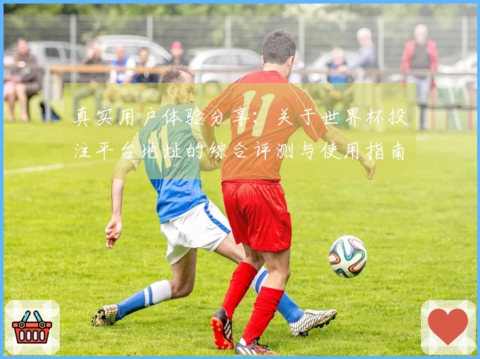真实用户体验分享：关于世界杯投注平台地址的综合评测与使用指南