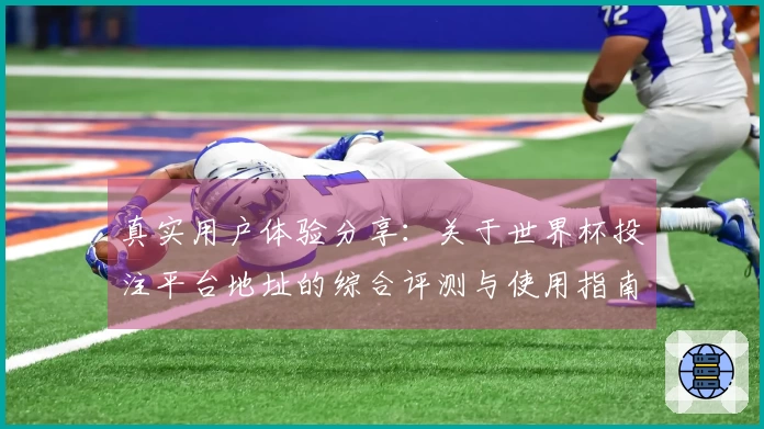 真实用户体验分享：关于世界杯投注平台地址的综合评测与使用指南
