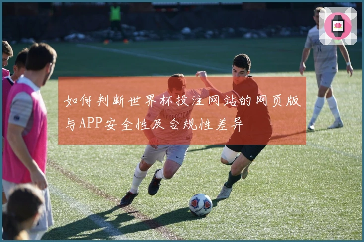 如何判断世界杯投注网站的网页版与APP安全性及合规性差异