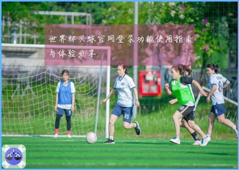 世界杯买球官网登录功能使用指南与体验分享