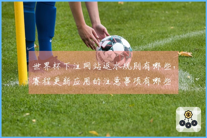 世界杯下注网站返水规则有哪些，赛程更新应用的注意事项有哪些