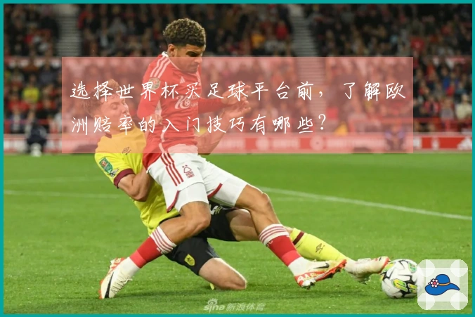 选择世界杯买足球平台前，了解欧洲赔率的入门技巧有哪些？
