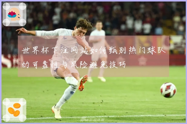 世界杯下注网站如何甄别热门球队的可靠性与风险避免技巧