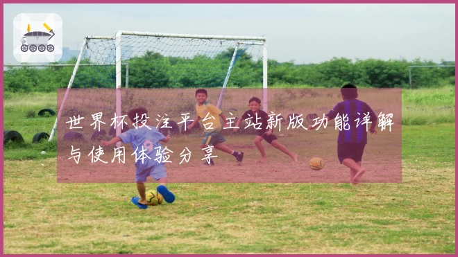 世界杯投注平台主站新版功能详解与使用体验分享