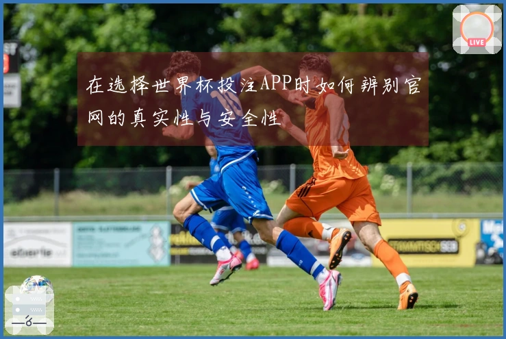 在选择世界杯投注APP时如何辨别官网的真实性与安全性