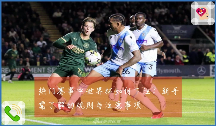 热门赛事中世界杯如何下注？新手需了解的规则与注意事项