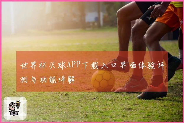 世界杯买球APP下载入口界面体验评测与功能详解