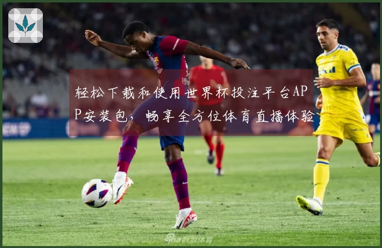 轻松下载和使用世界杯投注平台APP安装包，畅享全方位体育直播体验