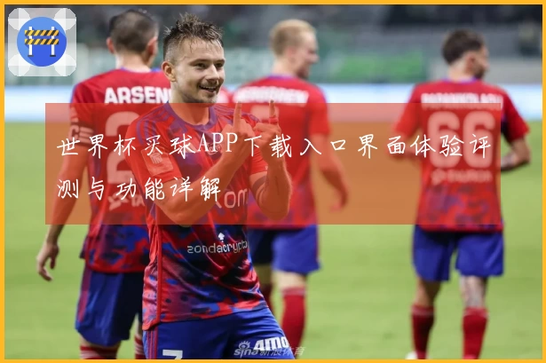 世界杯买球APP下载入口界面体验评测与功能详解
