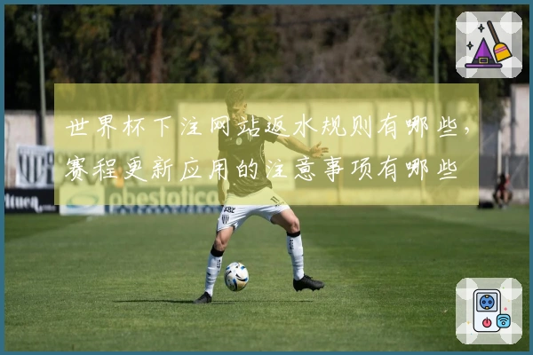 世界杯下注网站返水规则有哪些，赛程更新应用的注意事项有哪些
