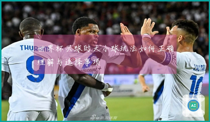 世界杯买球时大小球玩法如何正确理解与选择事项