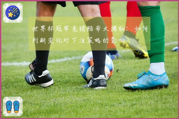世界杯冠军竞猜赔率大揭秘：如何判断变化对下注策略的影响