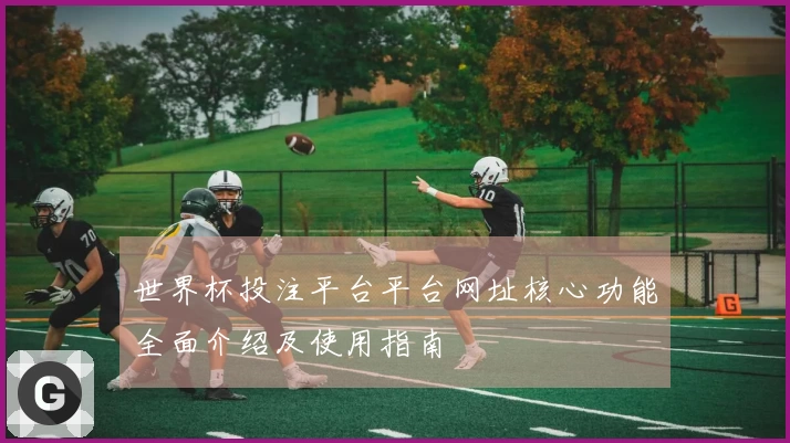 世界杯投注平台平台网址核心功能全面介绍及使用指南