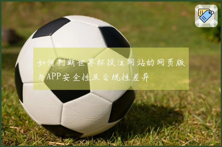 如何判断世界杯投注网站的网页版与APP安全性及合规性差异