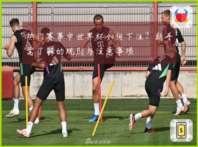 热门赛事中世界杯如何下注？新手需了解的规则与注意事项